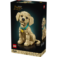 LEGO Icons 11384 Kultaisen noutajan pentu