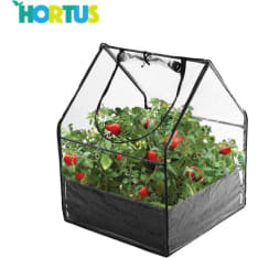Hortus 65x65x85cm minikasvihuone
