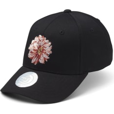 Upfront Bloom Baseball lippis