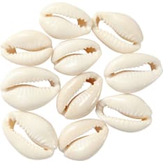 Creativ Company seashell - Jewelry