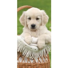 Koiranpentu 70x140 cm pyyhe