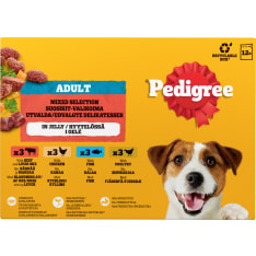Pedigree Favourites 12x100 g pieces of jelly in sachets dog wet food