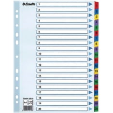 Esselte Mylar A4 1-20 hakemisto