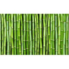 Wallpaper - Bamboo wall