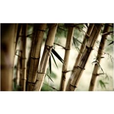 Artgeist Fog and bamboo forest fototapetti