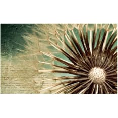 Artgeist Story of the Summer fototapetti