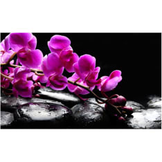 Artgeist Rentouttava hetki: orkidea kukka ja kivet fototapetti
