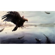 Artgeist Petoeläin fototapetti