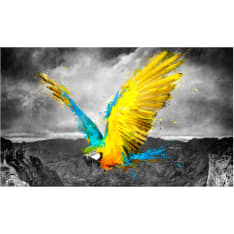 Artgeist Exotic parrot fototapetti