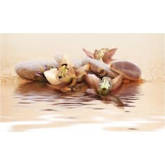 Artgeist beach - water lily fototapetti