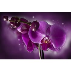 Artgeist Fairy tale and orchid fototapetti