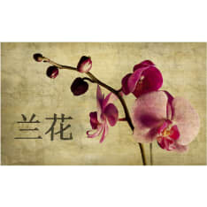 Artgeist Japanese orchid fototapetti