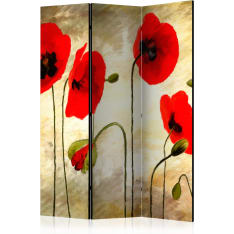 Artgeist Golden Field Of Poppies 3-osainen sermi