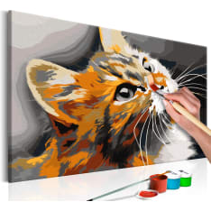 Artgeist Red Cat DIY kangas maalaus