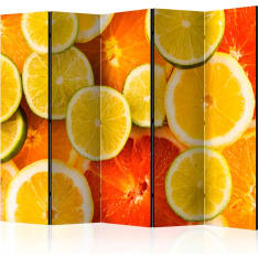 Artgeist Citrus Fruits 5-osainen sermi