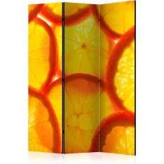 Artgeist Orange Slices 3-osainen sermi