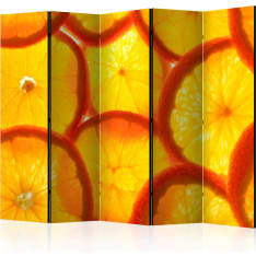 Artgeist Orange Slices 5-osainen sermi