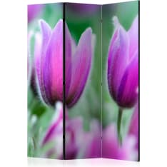 Artgeist Purple Spring Tulips 3-osainen sermi