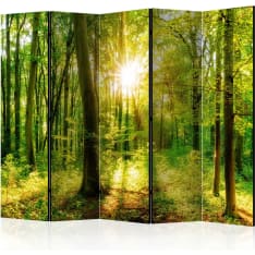 Artgeist Forest Rays 5-osainen sermi