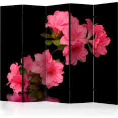 Artgeist Azalea In Black 5-osainen sermi