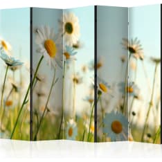 Artgeist Daisies - Spring Meadow 5-osainen sermi