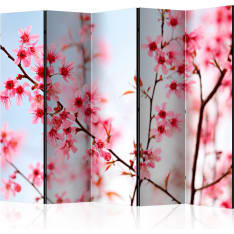 Artgeist Symbol Of Japan - Sakura Flowers 5-osainen sermi