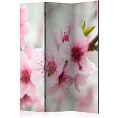 Artgeist Spring, Blooming Tree - Pink Flowers 3-osainen sermi