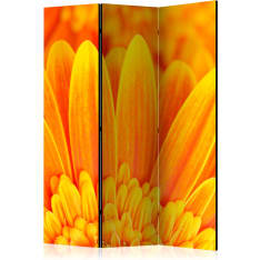 Artgeist Yellow Gerbera Daisies 3-osainen sermi