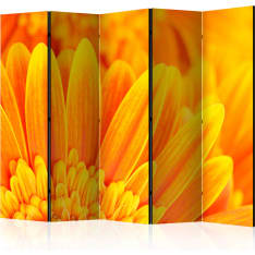 Artgeist Yellow Gerbera Daisies 5-osainen sermi