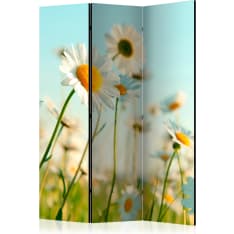 Artgeist Daisies - Spring Meadow 3-osainen sermi