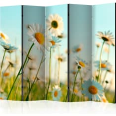 Artgeist Daisies - Spring Meadow 5-osainen sermi