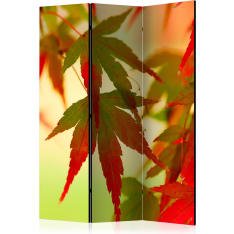 Artgeist Colourful Leaves 3-osainen sermi