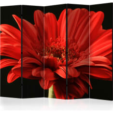 Artgeist Red Gerbera Flower 5-osainen sermi