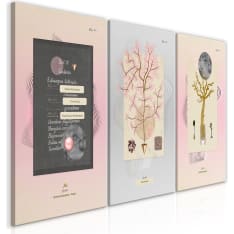 Artgeist Unusual Plants  taulusetti