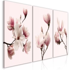 Artgeist Spring Magnolias taulusetti