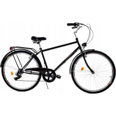 Davi Men 28" 6-spd men's bike