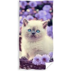 Cat towel