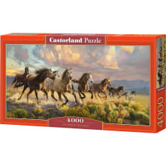 Castorland Thunder Prairie 4000p palapeli