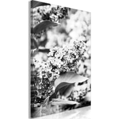 Artgeist Monochrome Lilac  taulu