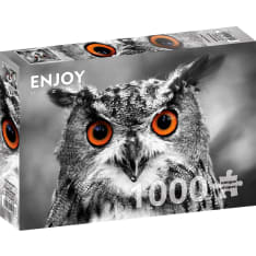 ENJOY Curious Owl 1000p puzzle