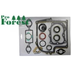 Pro Forest B&S 299577 tiivistesarja