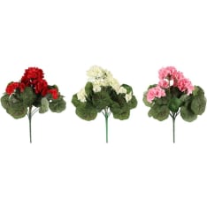 4Living pelargonia kimppu lajitelma