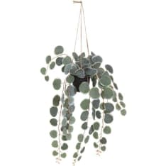 4Living herttalyhty amppeli 40 cm