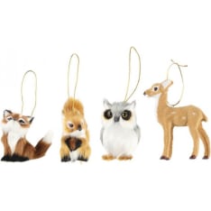 Winteria oksakoriste