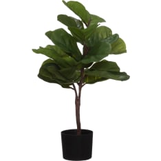 4Living Lyyraviikuna ruukussa 80 cm