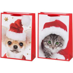Winteria Pets gift bag