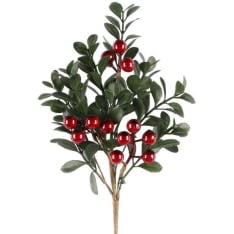 Cape lingonberry 25cm decorative box