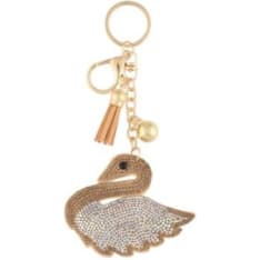 Acces keychain