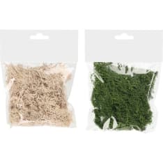 Kapel 20g lichen