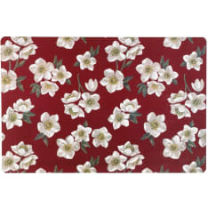 Winteria Helleborus tabletti